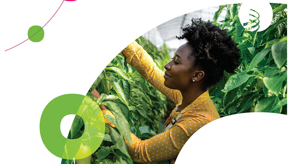 Woman entrepreneur applying skills from the WIPO training program to her business