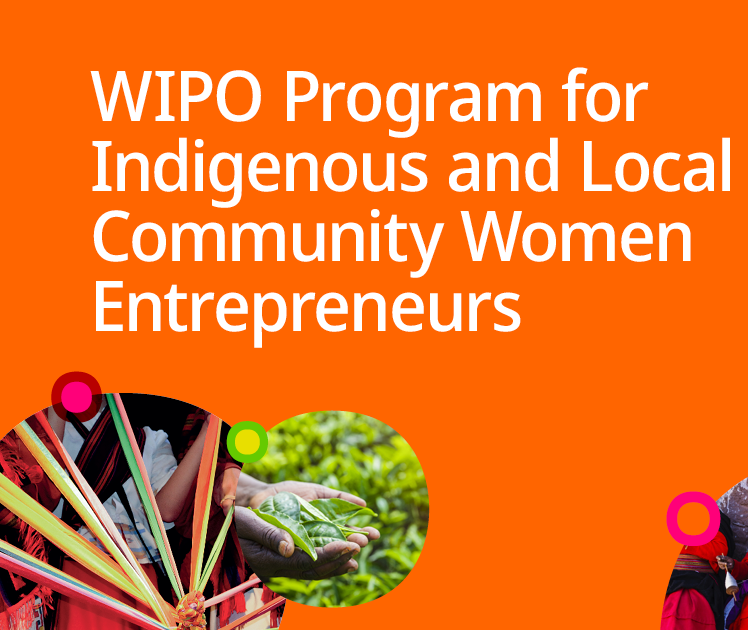 Woman entrepreneur from an Indigenous community showcasing her traditional craft, WIPO training program